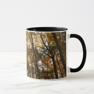 Autumn Leaves in the Morning Maryland Nature Mug