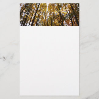 Autumn Leaves in the Morning Maryland Nature Stationery