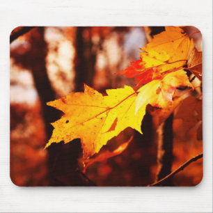 Autumn Leaves in the Poconos Mouse Pad