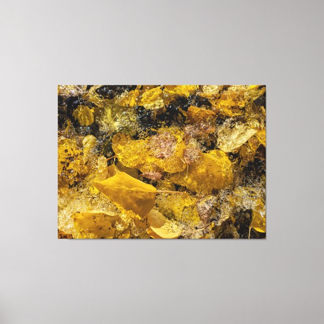 Autumn Leaves in Water Canvas Print (Front)