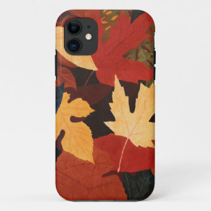 Autumn Leaves iPhone 5Case-MateBarelyThere Case-Mate iPhone Case