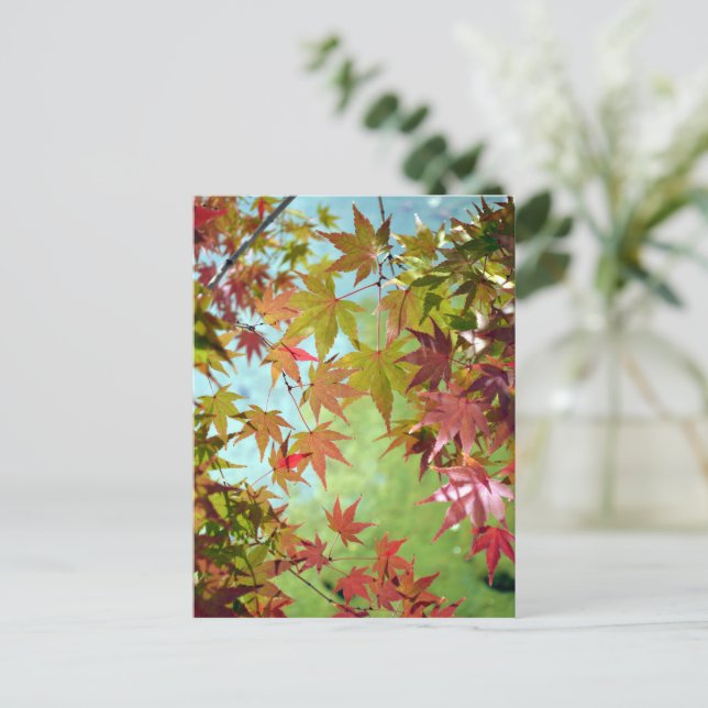 Autumn Leaves: Japan Postcard (Standing Front)