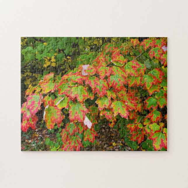 Autumn leaves jigsaw puzzle (Horizontal)