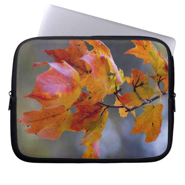 Autumn Leaves Laptop Sleeve (Front)