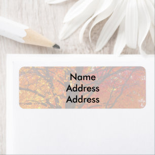 Autumn Leaves Light Return Address Labels