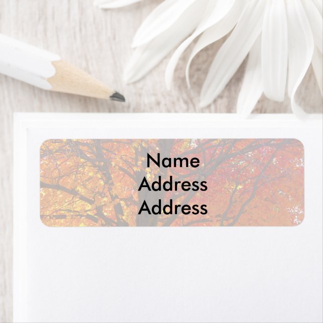 Autumn Leaves Light Return Address Labels (Insitu)