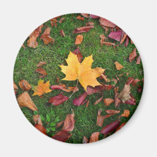 Autumn Leaves Magnet