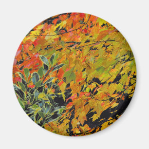 Autumn Leaves Magnet