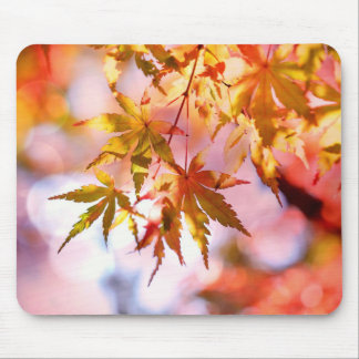 Autumn Leaves Mouse Pad