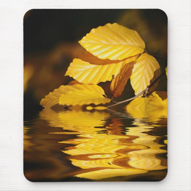 autumn leaves mouse pad (Front)