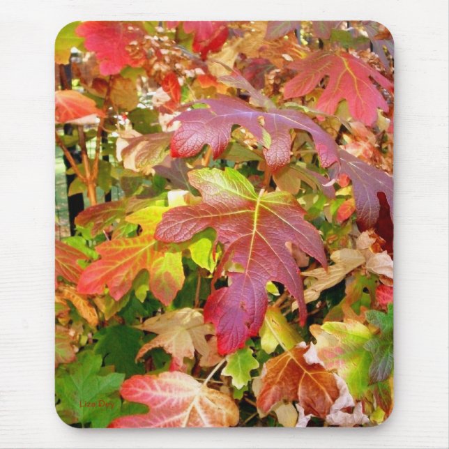'Autumn Leaves' Mousepad (Front)