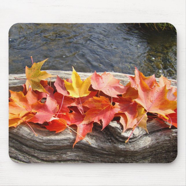 Autumn Leaves mousepads River water Driftwood (Front)