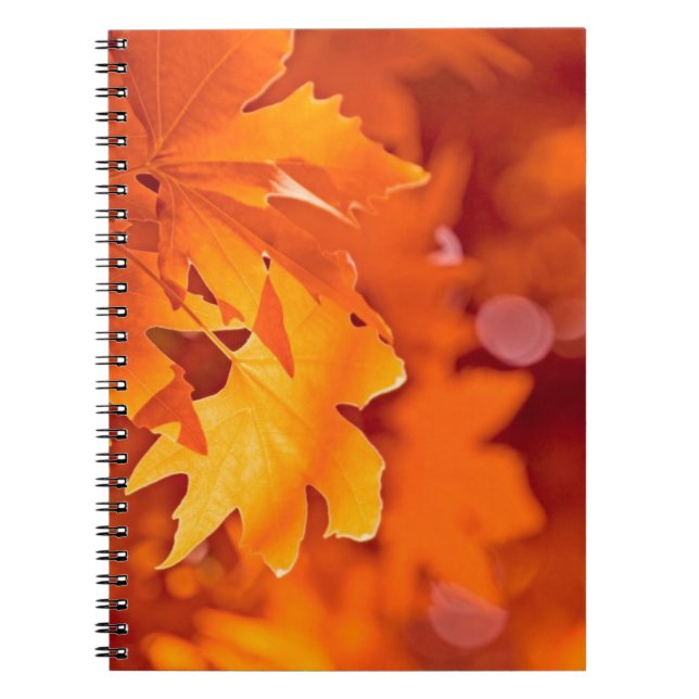 Autumn Leaves Notebook (Front)