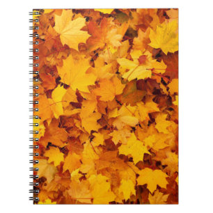Autumn Leaves Notebook