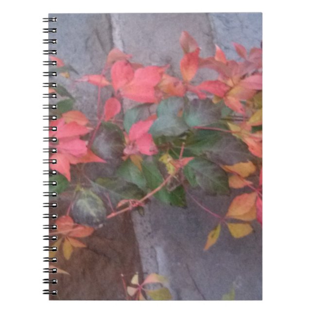 Autumn Leaves Notebook (Front)
