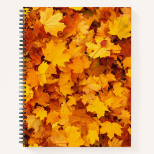 Autumn Leaves Notebook