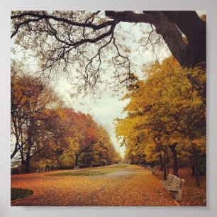 Autumn Leaves NYC Riverside Park New York Fall Art Poster