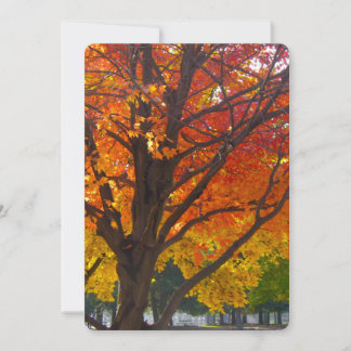 Autumn Leaves of Yellow and Orange Invitation