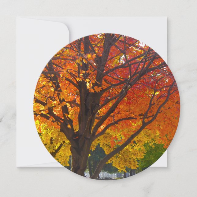 Autumn Leaves of Yellow and Orange Photo Invitation (Front)