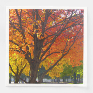 Autumn Leaves of Yellow and Orange Photo Napkin