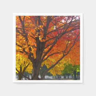 Autumn Leaves of Yellow and Orange Photo Napkin