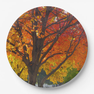 Autumn Leaves of Yellow and Orange Photo Paper Plate