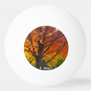 Autumn Leaves of Yellow and Orange Photo Ping Pong Ball