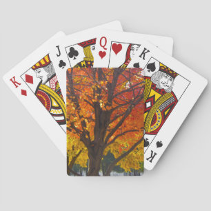 Autumn Leaves of Yellow and Orange Photo Playing Cards