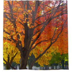 Autumn Leaves of Yellow and Orange Photo Shower Curtain