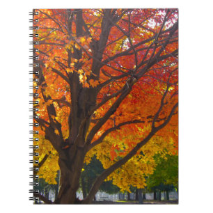 Autumn Leaves of Yellow and Orange Photo Spiral Notebook