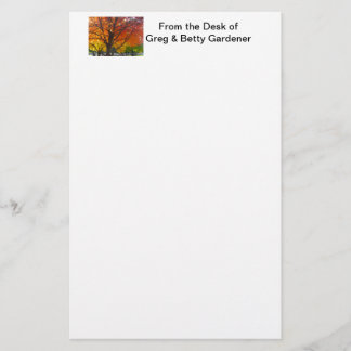 Autumn Leaves of Yellow and Orange Photo Stationery