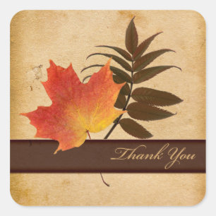 Autumn Leaves on Aged Paper Square Thank You Square Sticker