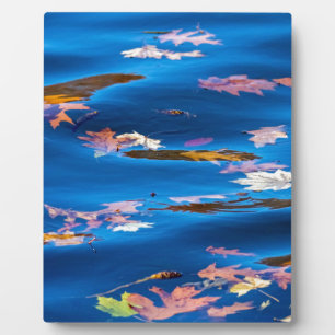Autumn Leaves on Blue Water Plaque