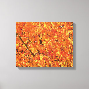 Autumn Leaves on Tree - photograph.   Canvas Print