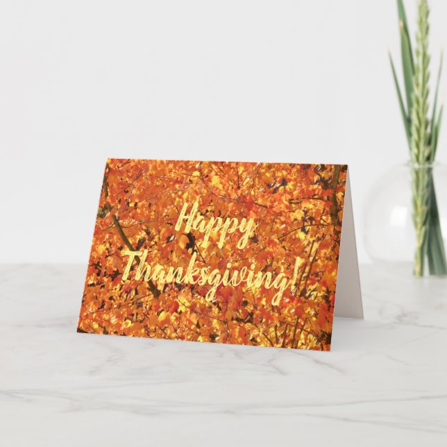 Autumn Leaves on Tree - photograph.  Card (Front)