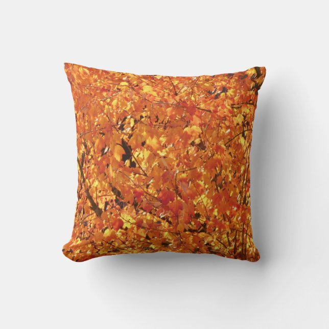 Autumn Leaves on Tree - photograph.   Cushion (Front)