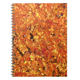 Autumn Leaves on Tree - photograph. Notebook