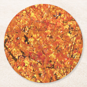 Autumn Leaves on Tree - photograph. Round Paper Coaster