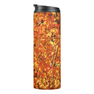 Autumn Leaves on Tree - photograph.    Thermal Tumbler