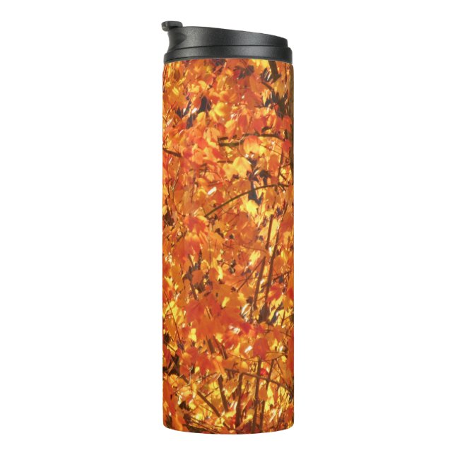 Autumn Leaves on Tree - photograph.    Thermal Tumbler (Rotated Right)