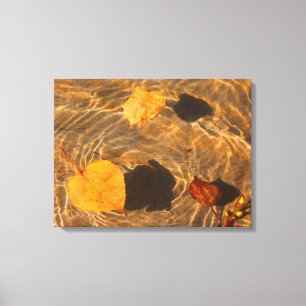 Autumn Leaves On Water Canvas by RoseWrites Print