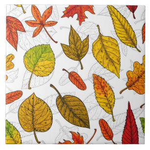 Autumn leaves on white tile