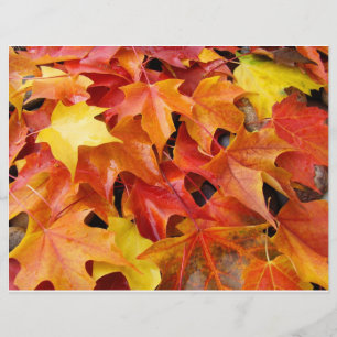 Autumn Leaves Orange Yellow Red Flyer Paper
