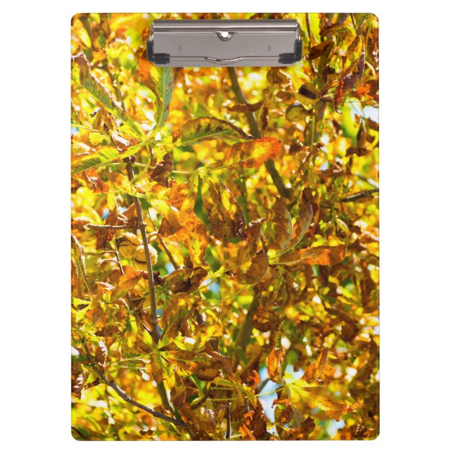 Autumn leaves pattern clipboard (Front)