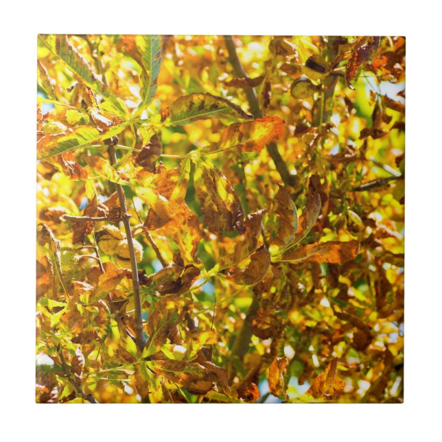 Autumn leaves pattern tile (Front)