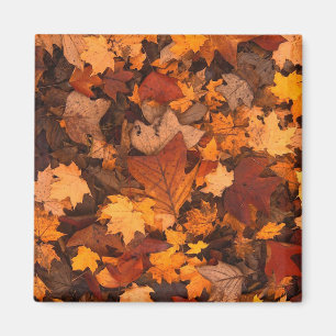 Autumn Leaves Photo Magnet