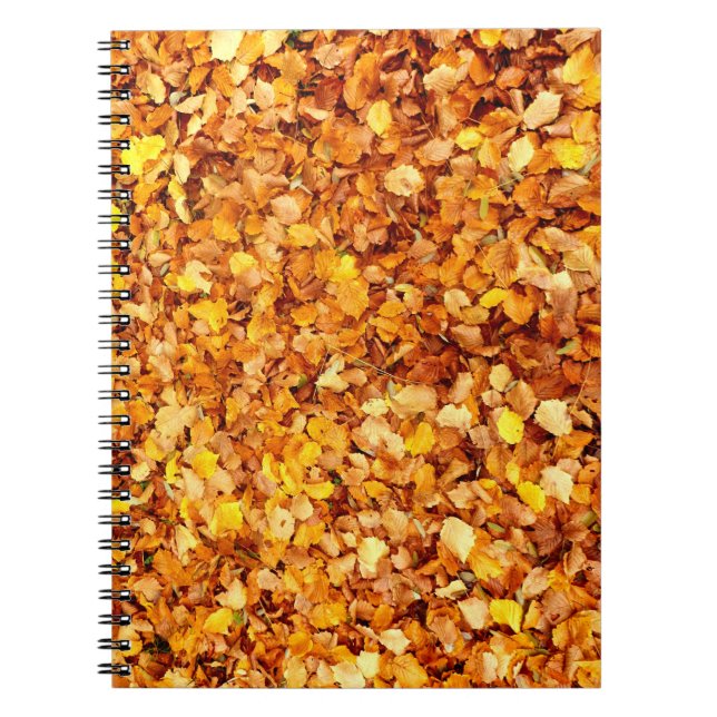 Autumn Leaves Photo Notebook (Front)
