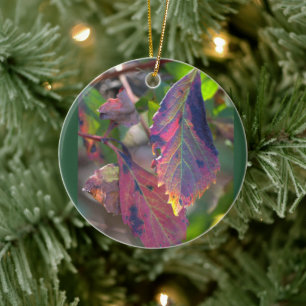 Autumn Leaves Photo Ornament 