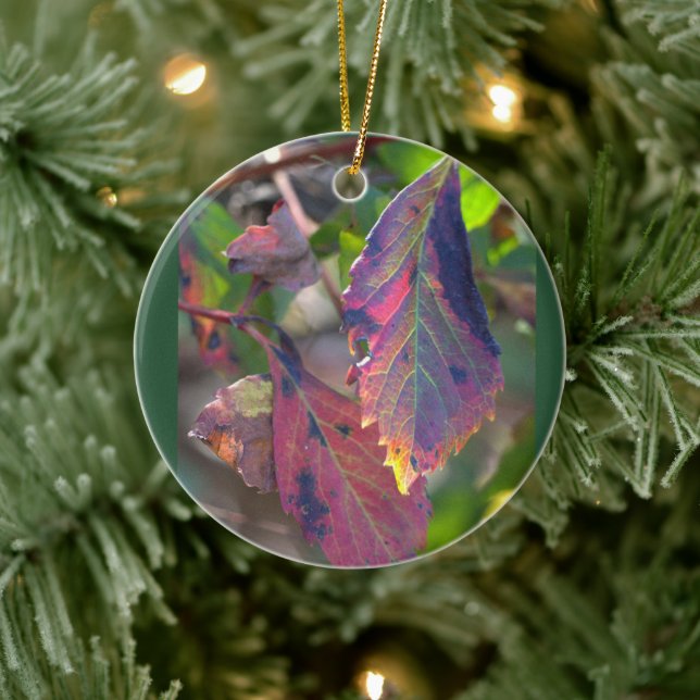 Autumn Leaves Photo Ornament  (Tree)