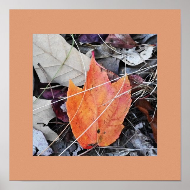 Autumn Leaves Photo Poster (Front)